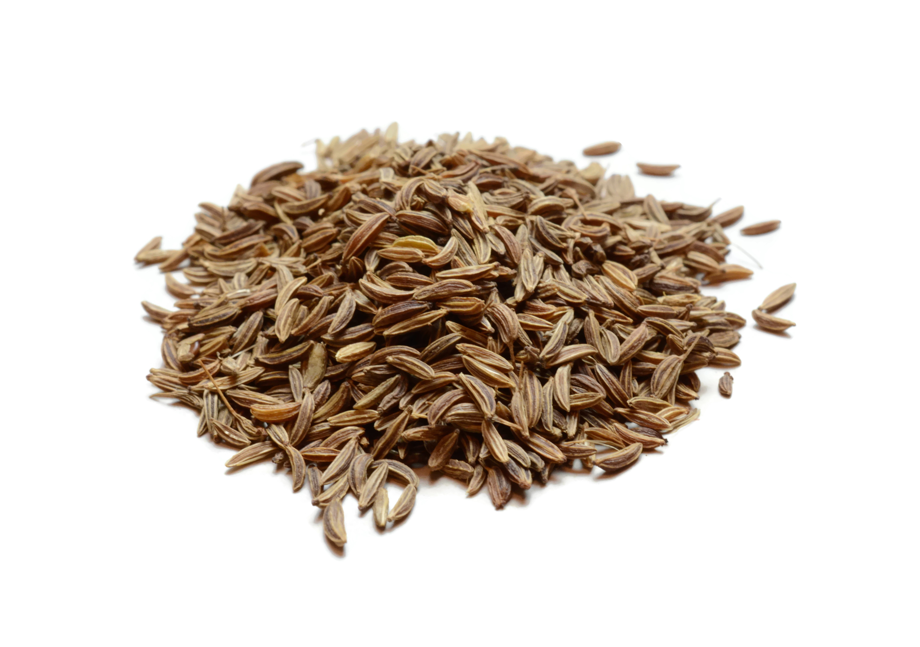 Purley Herbs -Caraway