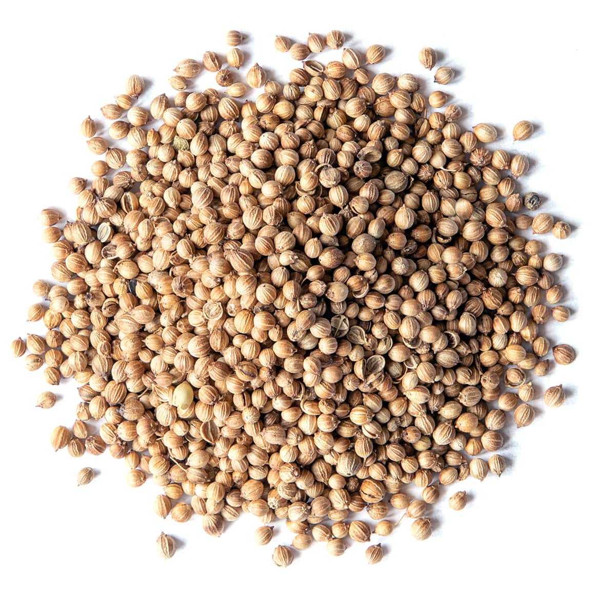 Purley Herbs -Coriander seeds