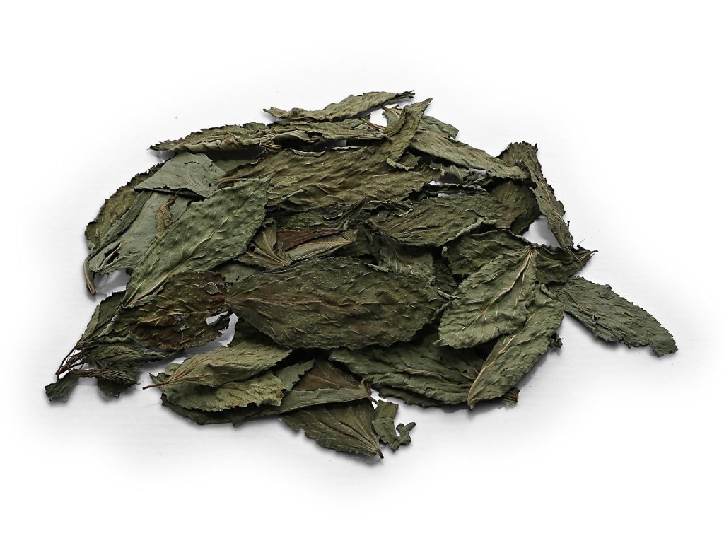 Purley Herbs -Molokhia